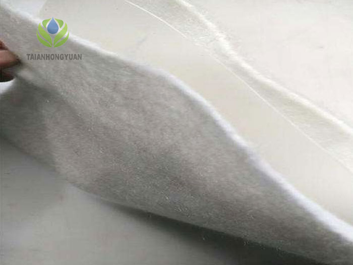 Geomembrane composite with non-woven